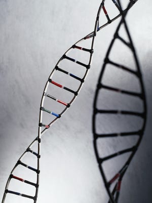 Doctors may look at circulating tumor DNA in breast cancer therapy.