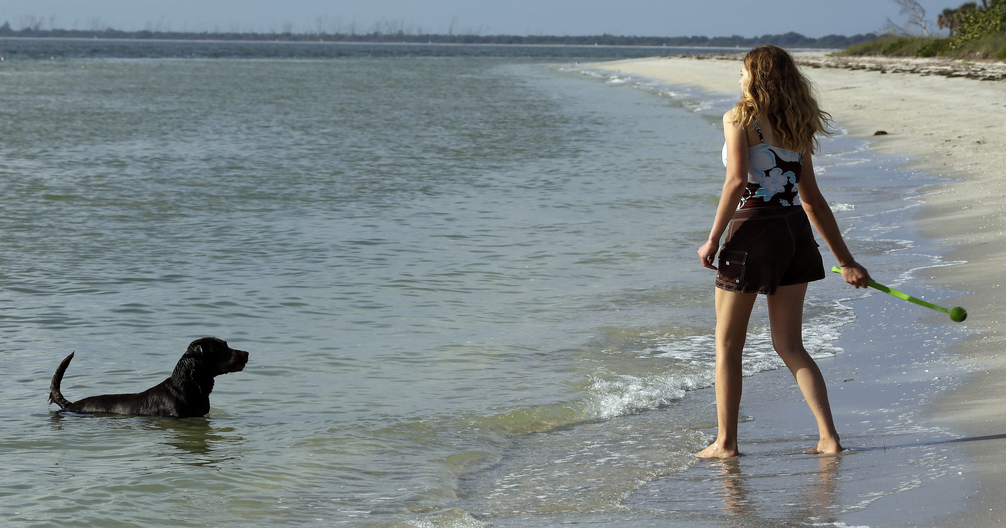Dog Friendly Florida Top Spots To Vacation With Pets