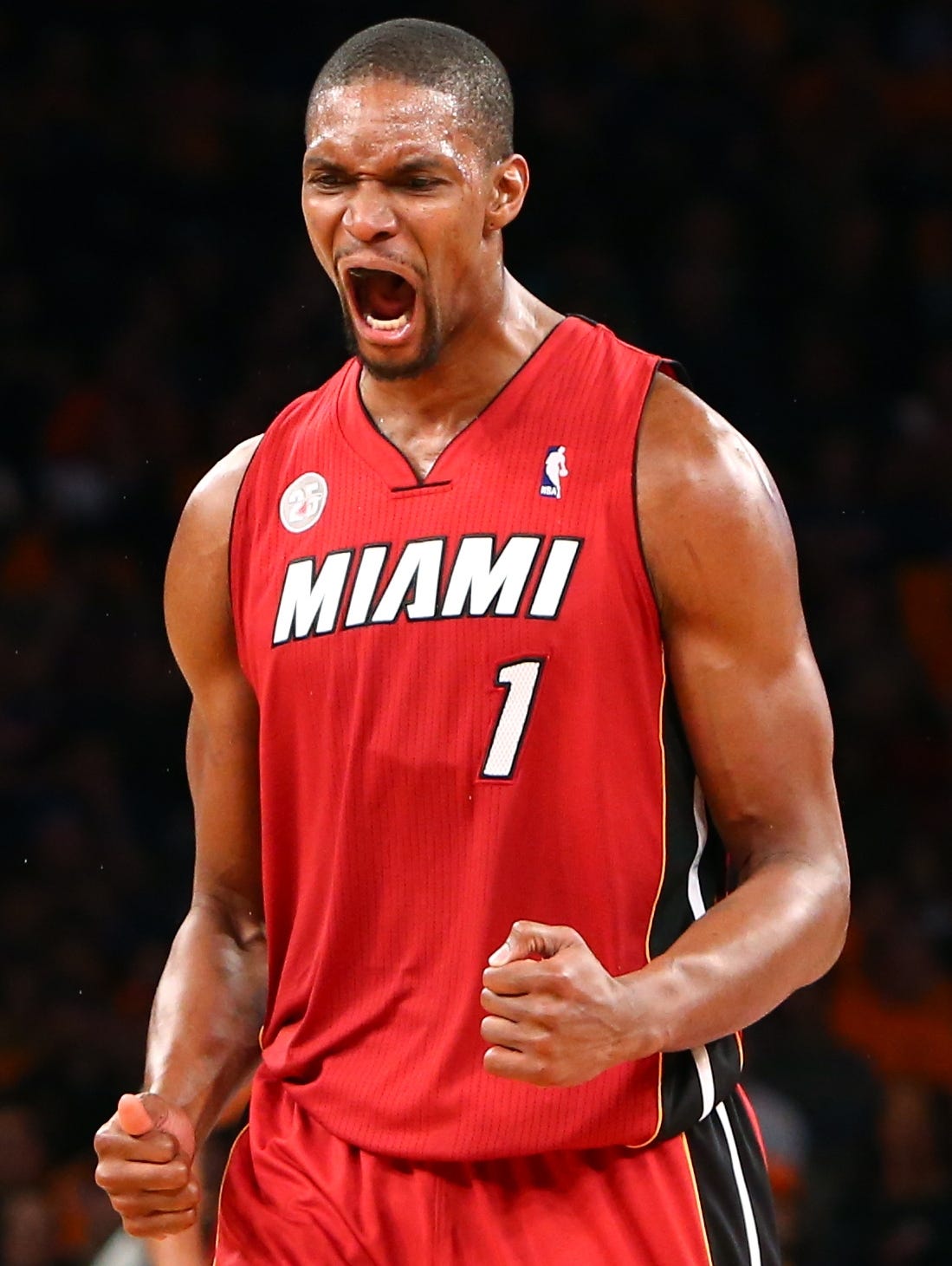 miami heat dog jersey