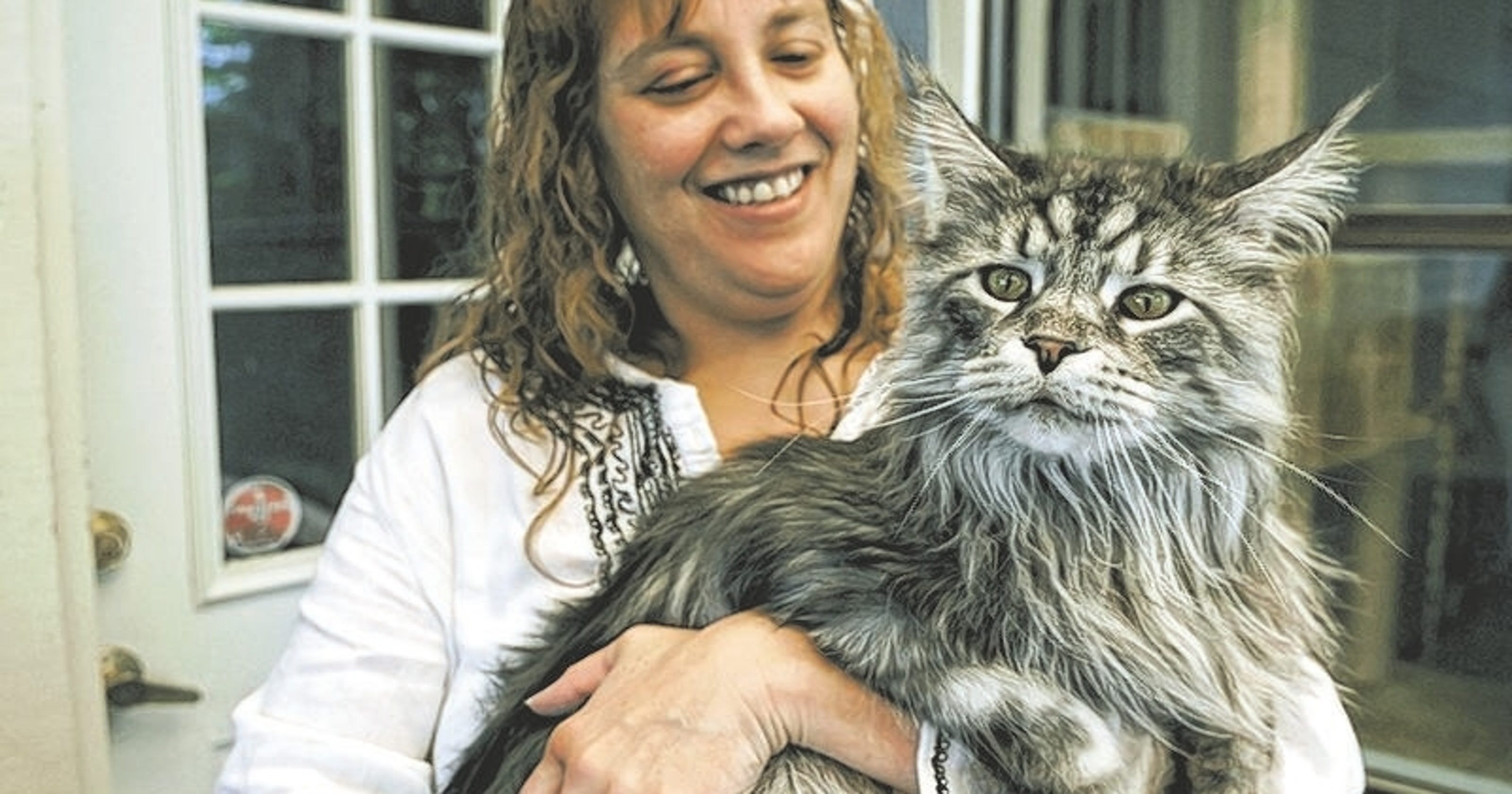 nevada-feline-certified-as-longest-domestic-cat-ever