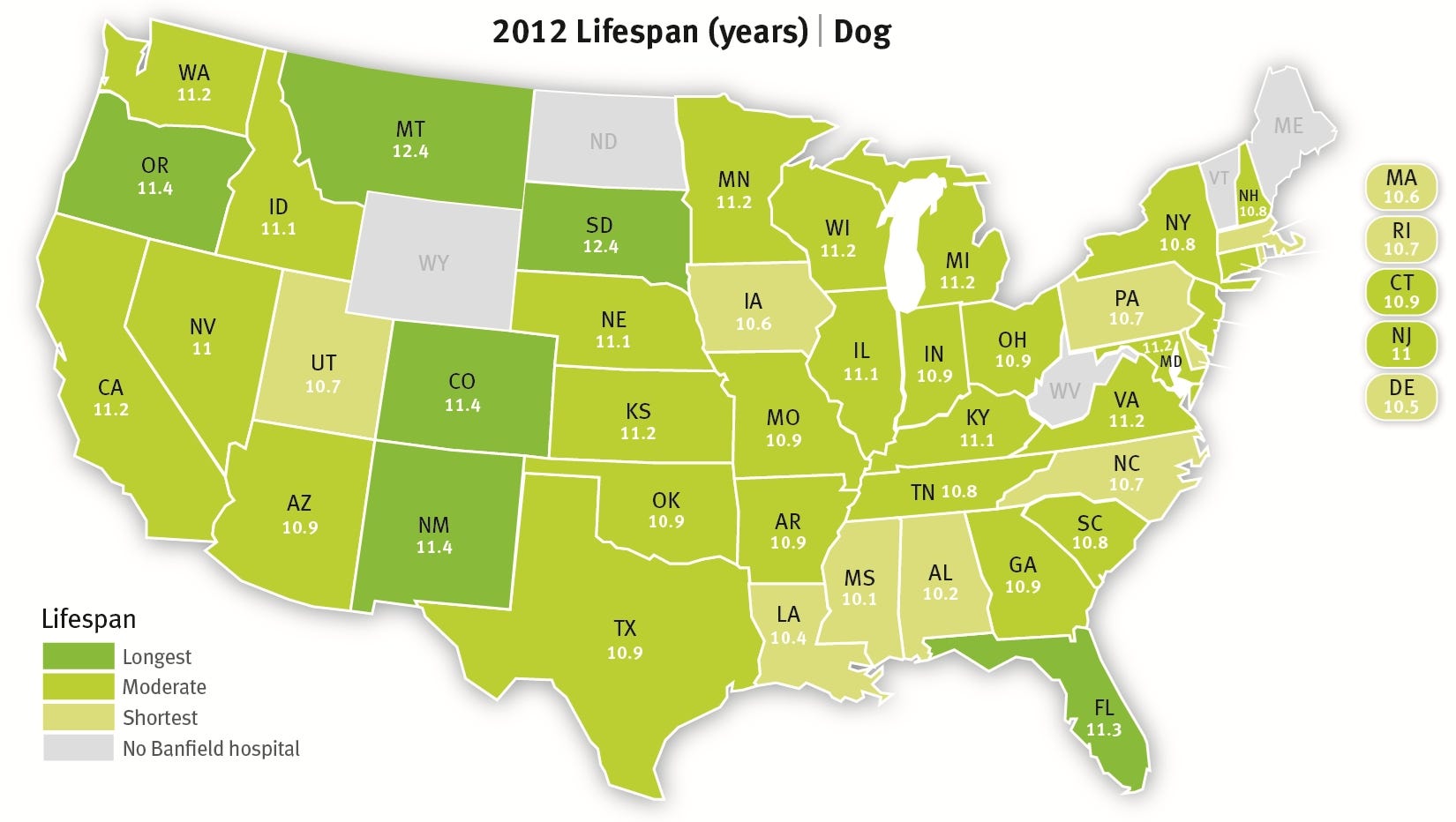 Does Where You Live Impact Your Pet S Longevity