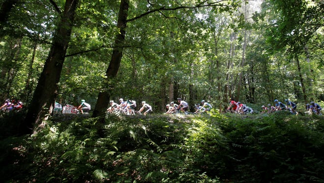 The peleton rides on a tree-lined road during the 10th stage of the Tour de France that traveled from Saint-Gildas-des-Bois to Saint-Malo.