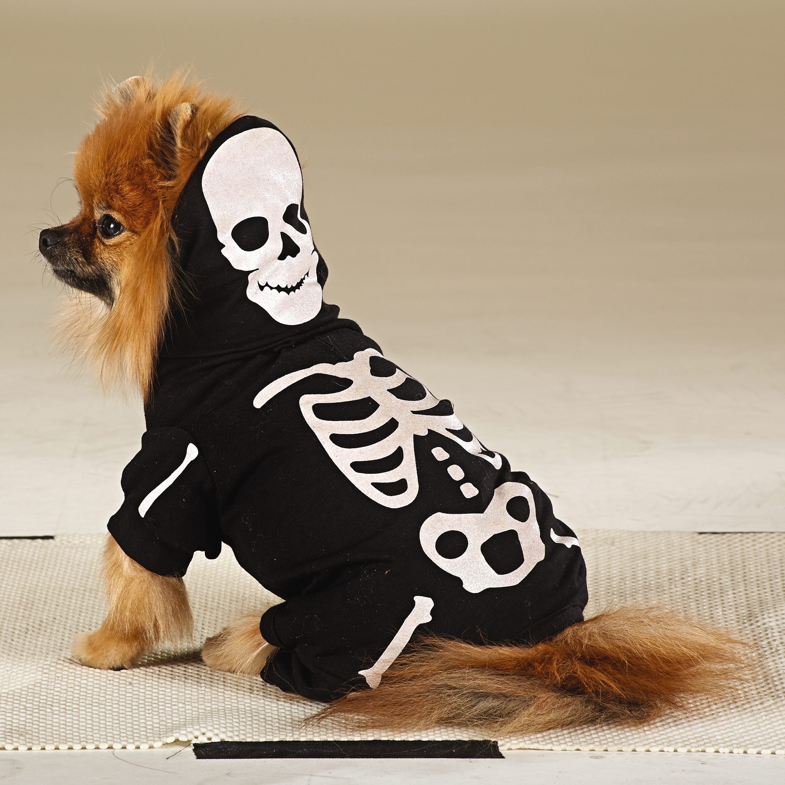 During Dog Days Of Summer Petsmart Shows Off Halloween Costumes