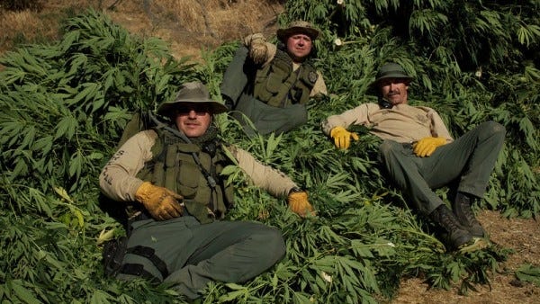 An image from 'Pot Cops,' a new series on the Discovery Channel.