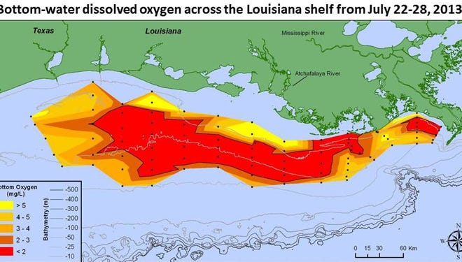 The 2013 dead zone is located off the Louisiana coast in the Gulf of Mexico.