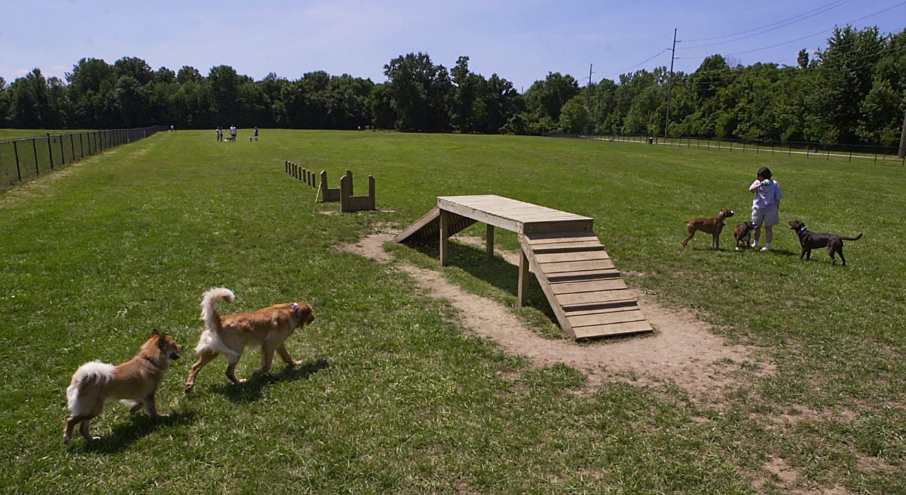 Indianapolis dog parks: Where to take your pooch for some exercise