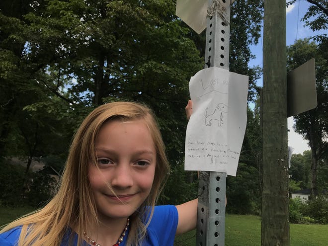 Morgan created a handmade sign in hopes of the return of Bolt, in Colonial Village, July 19th, 2018.