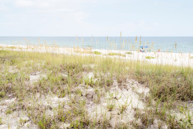 Beachfront property owned by Escambia County in Perdido Key on Tuesday, July 31, 2018.  The county owned property currently sits vacant with no public parking and no public access to the beach.