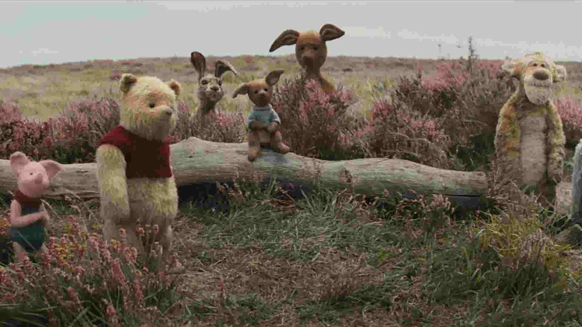 Image result for christopher robin winnie the pooh