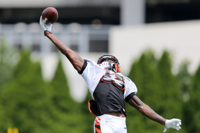 Cincinnati Bengals wide receiver Auden Tate (19) competes a one-handed catch in the end zone during Cincinnati Bengals training camp practice, Wednesday, Aug. 1, 2018, on the practice fields next to Paul Brown Stadium in Cincinnati. 