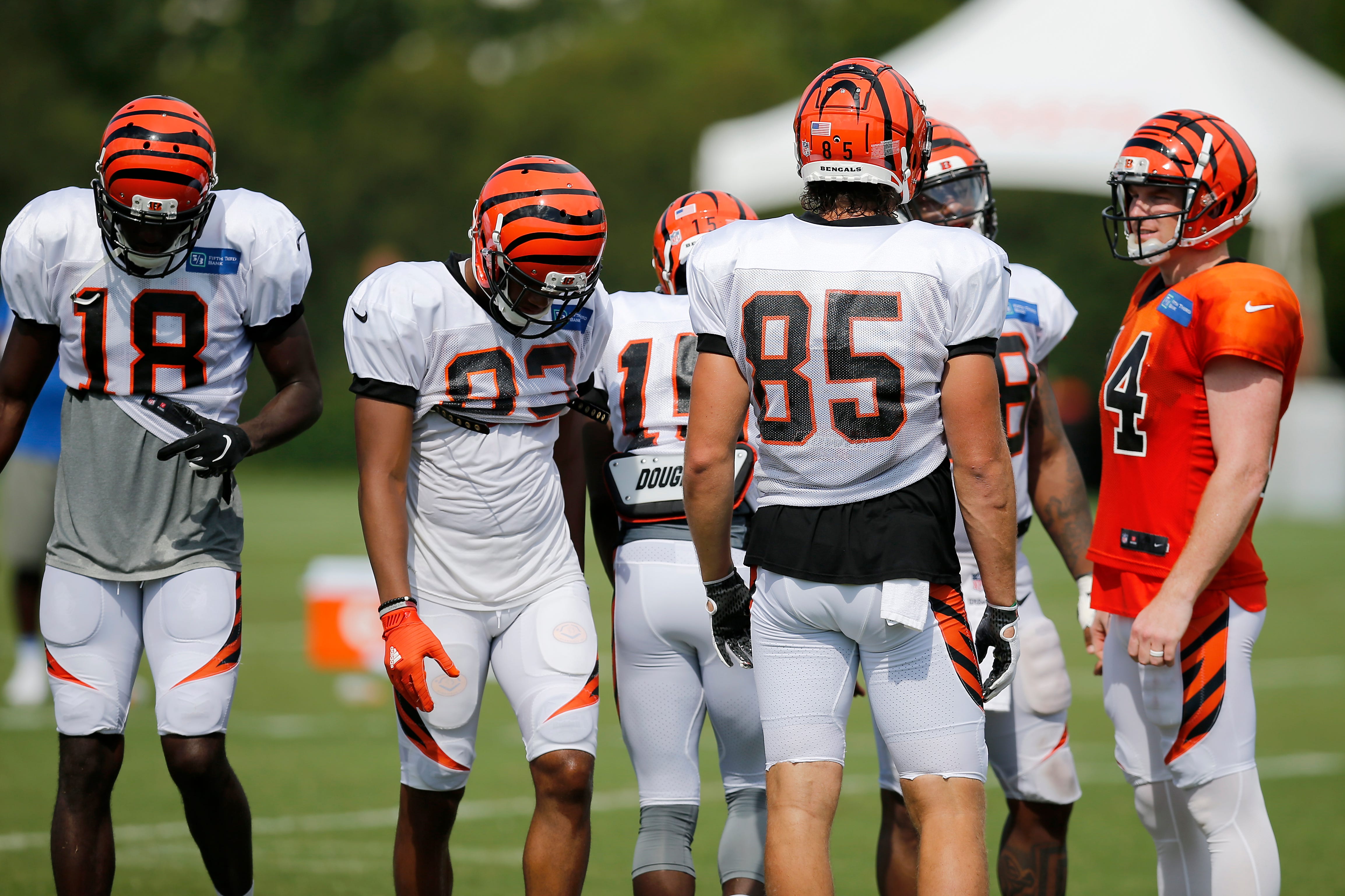 Bengals 2011 Depth Chart