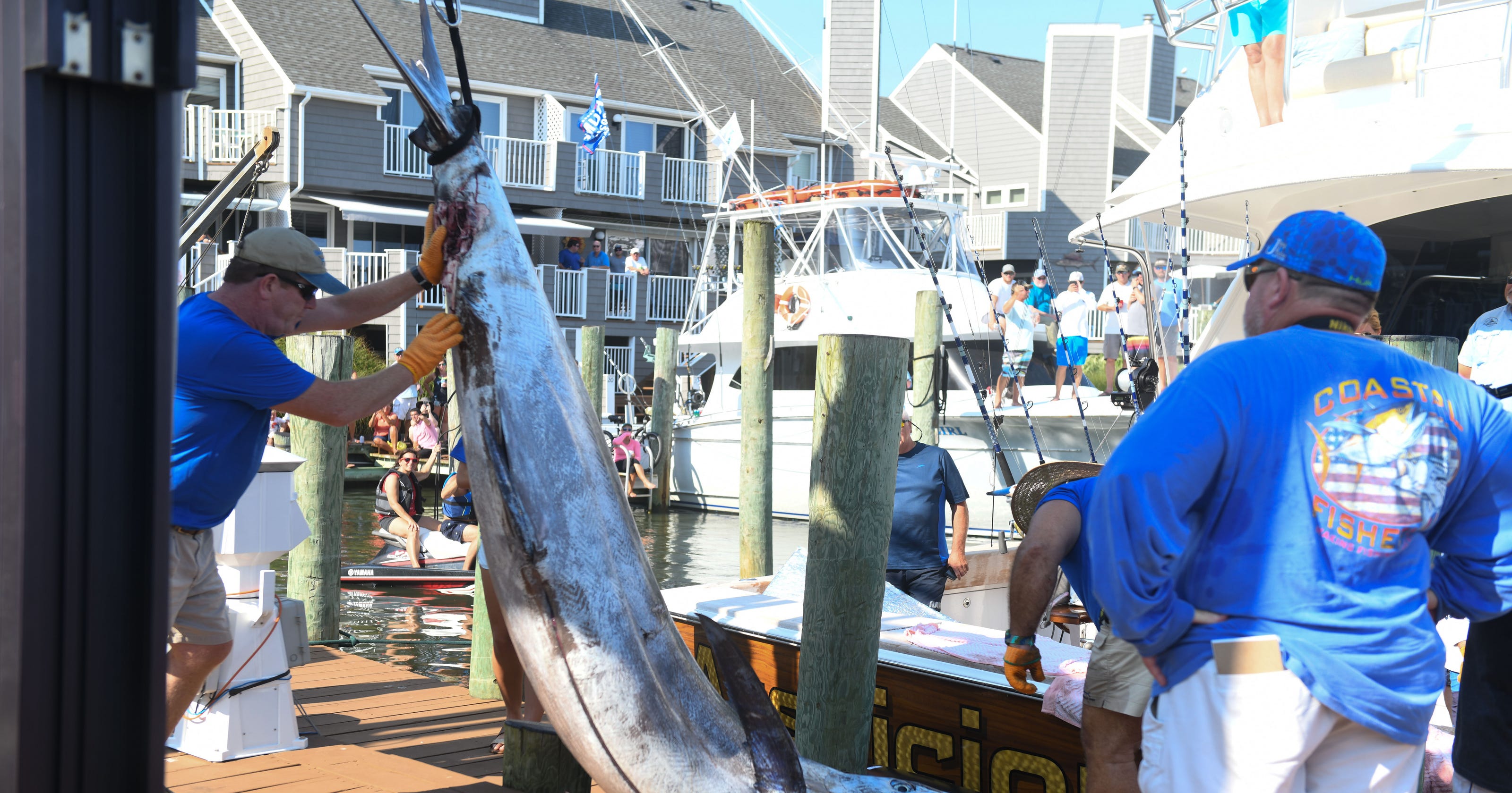 Ocean City White Marlin Open 2018: Day 1 leaderboard