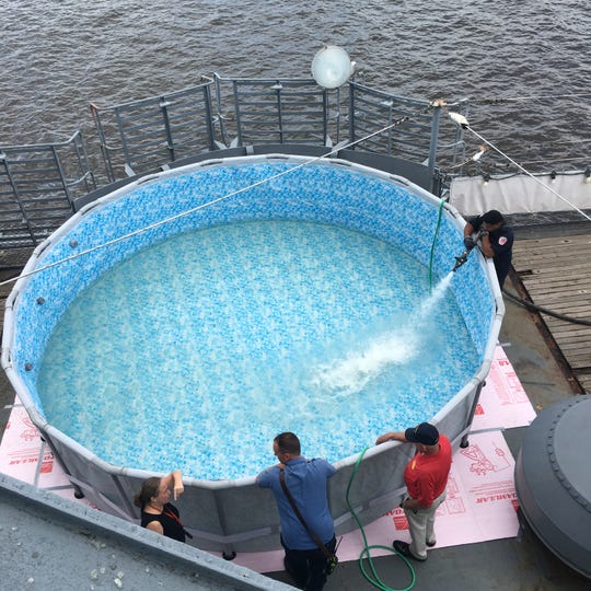 Take A Dip In The Battleship New Jersey Pool On A Museum Tour