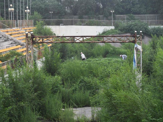 People tend to a plot of vegetables near the finish line of the BMX track.