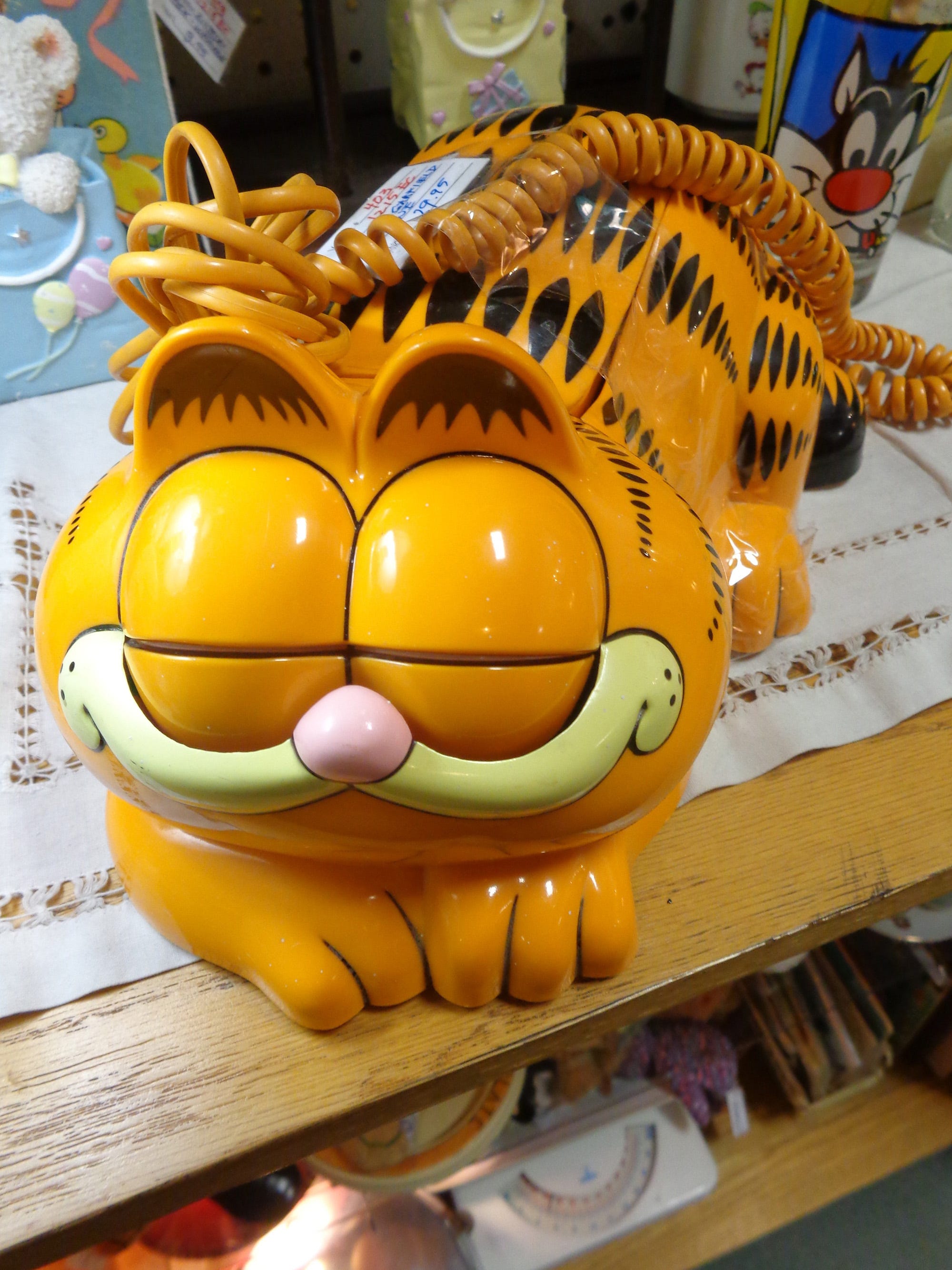 Girl S Dream Of Eating Lasagna With Garfield Will Come True
