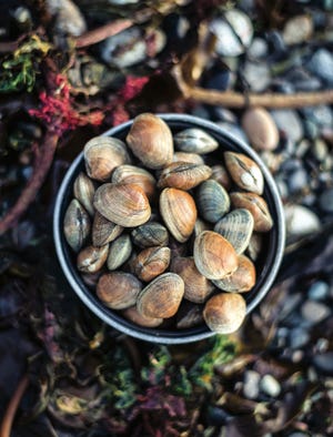 By the Shore: Explore the Pacific Northwest Coast Like a Local features recipes for seasonal seafood.
