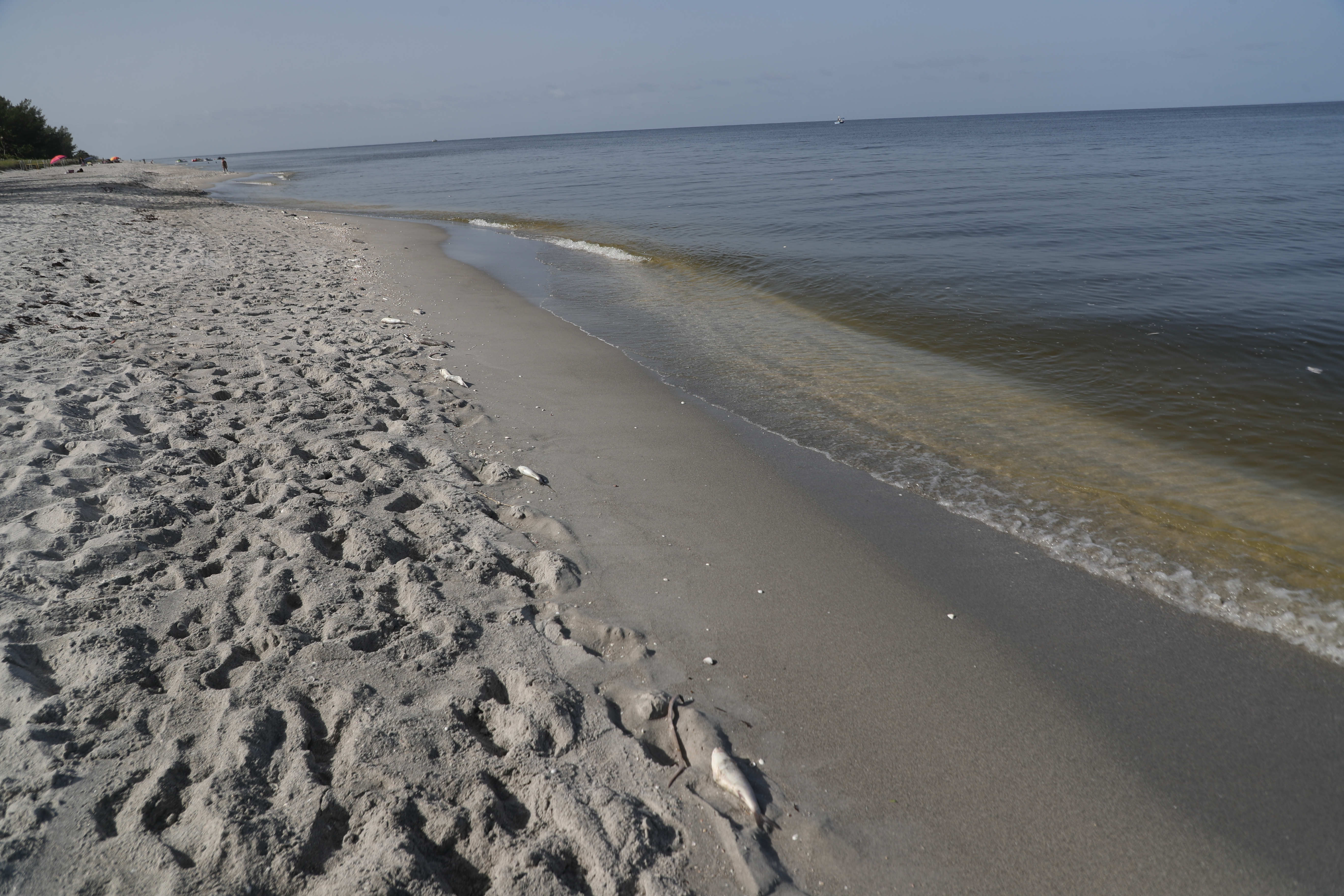 Tide Chart Horseshoe Beach Florida