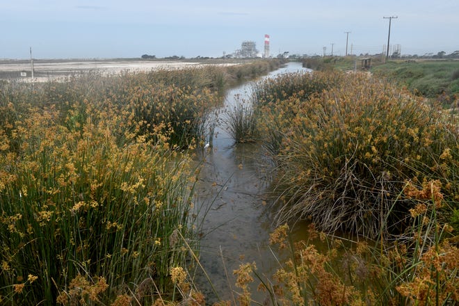 A shallow canal winds its way along the Ormond Beach wetlands with the power plant as the backdrop.