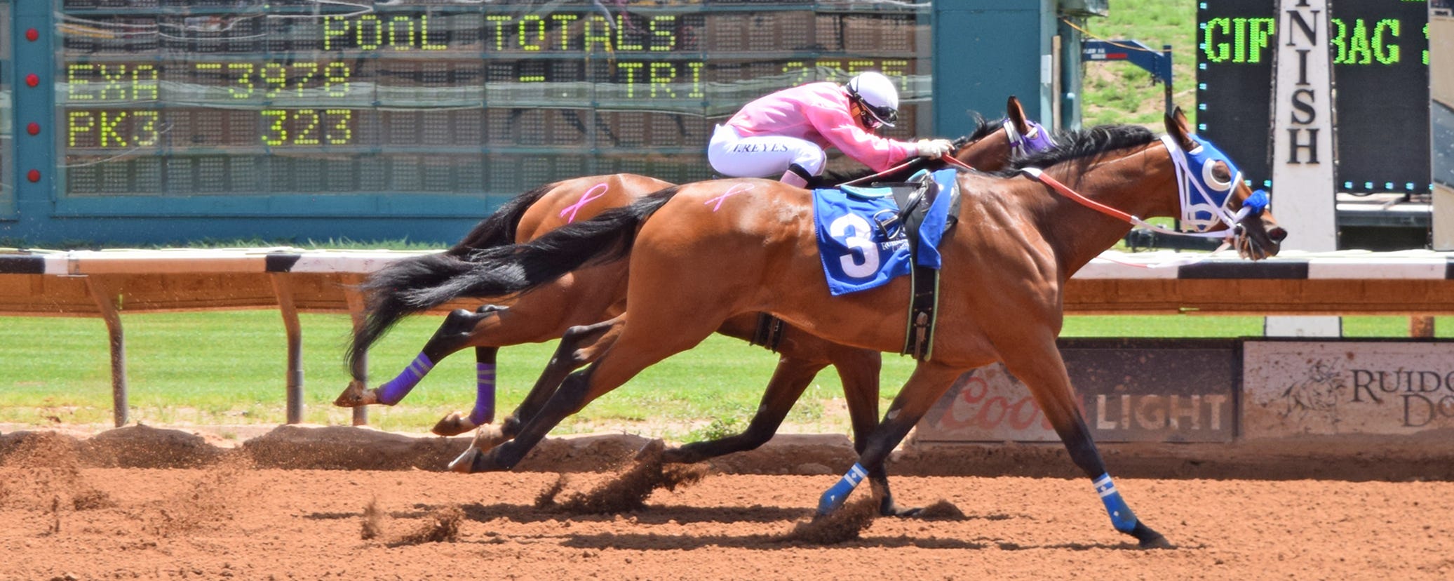Can a Horse Win a Race Without a Jockey