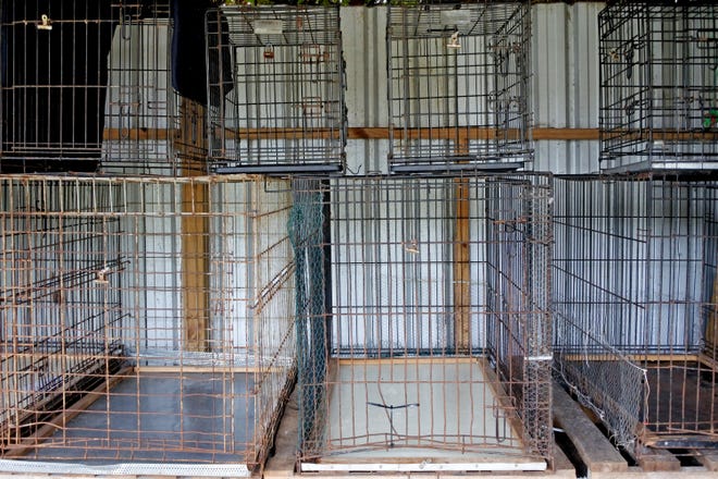 Illustration image: Empty metal cages in animal shelter.