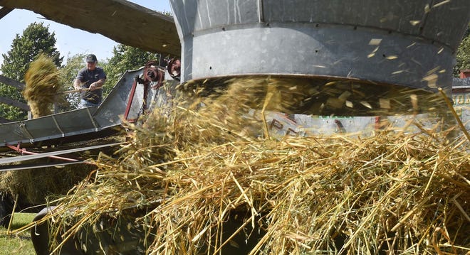 Gerald Nelson feeds a threshing machine that separates oats from straw during a demonstration at a past Valmy Thereshee. This year's Thresheree, which highlights orchard and high crop tractors, runs from Aug. 19 to 21.