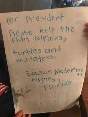 Eamon McDermott, 6, wrote a letter to President Donald Trump to help draw attention to the sea life dying during two simultaneous algal blooms.