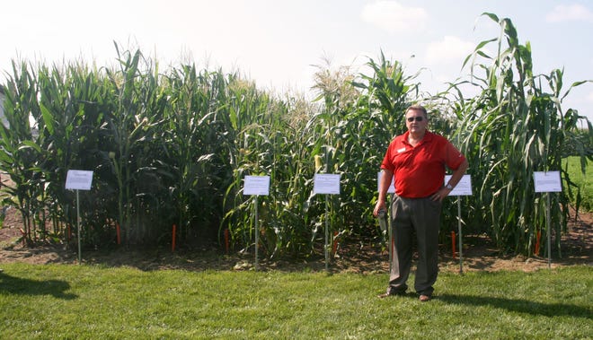 Jim Wold, Legacy Seeds corn and soybean product manager, told attendees how the several varieties in the plot behind him encompass 100 years of corn breeding history.