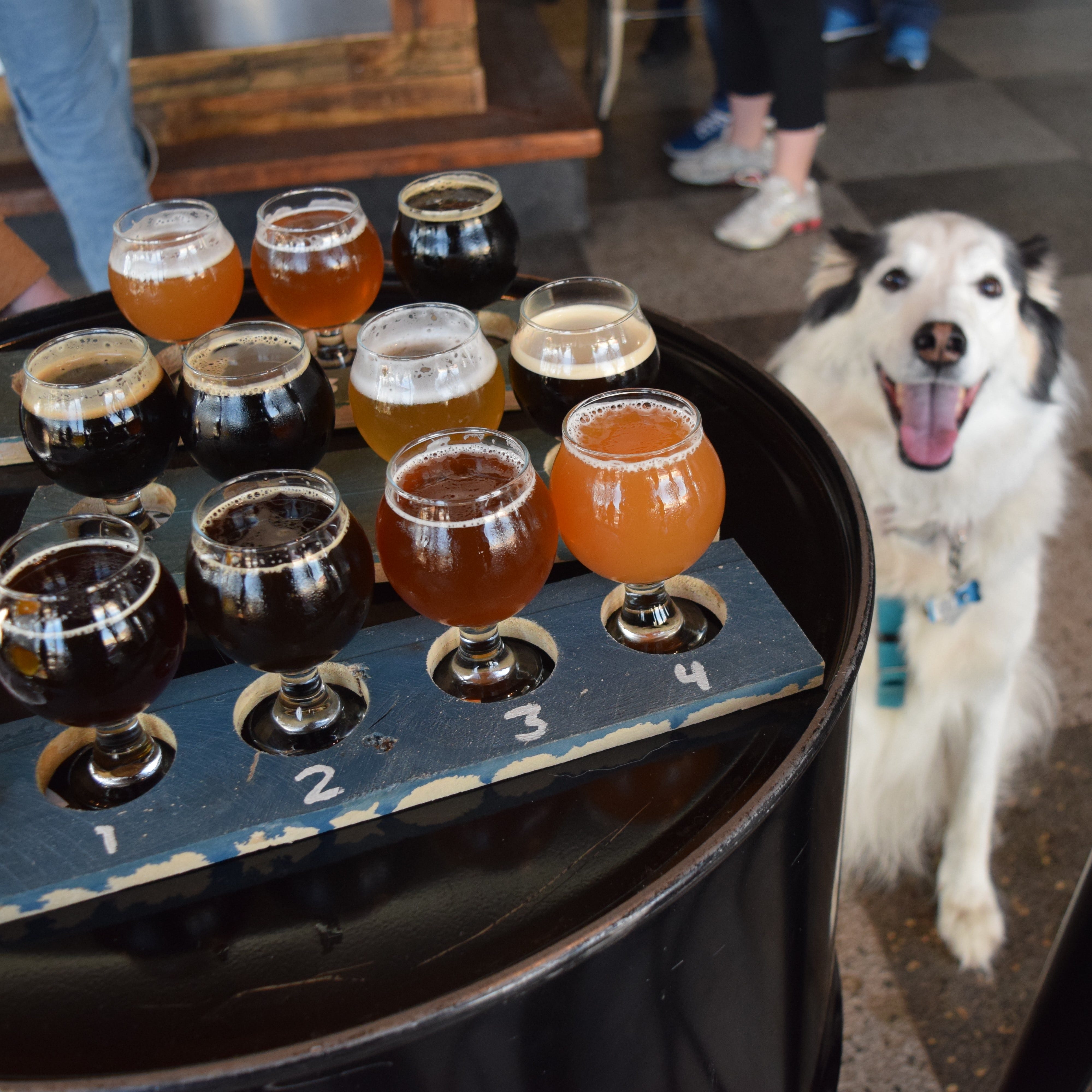 Dark City Brewing in Asbury Park, New Jersesy, sponsors special canine-themed events like a 