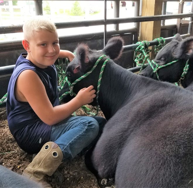 Dylan Sotherden showed an Angus heifer and a sheep at the 2018 fair.