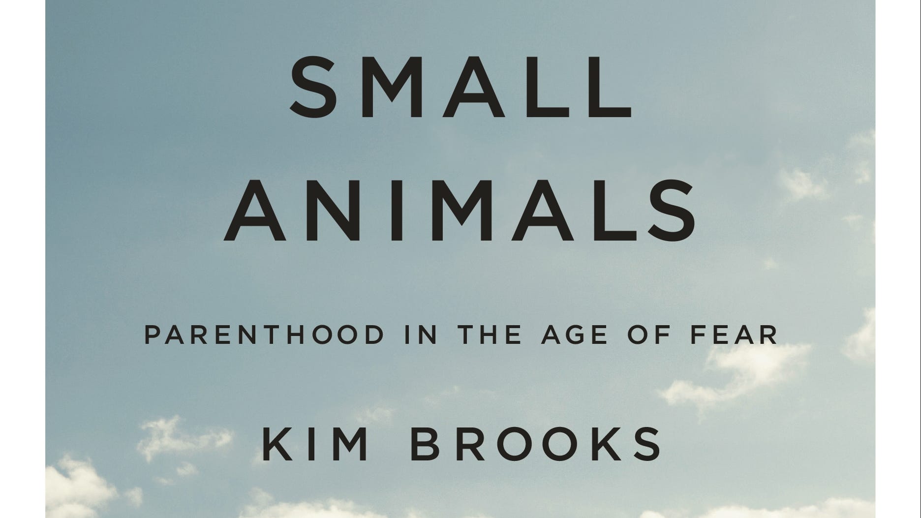 Kim Brooks' 'Small Animals' unpacks the fear consuming modern moms