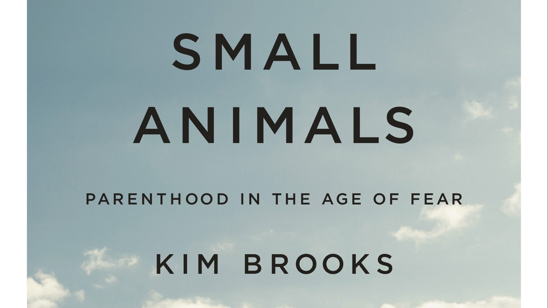 Kim Brooks' 'Small Animals' unpacks the fear consuming modern moms Kim Brooks' 'Small Animals' unpacks the fear consuming modern moms