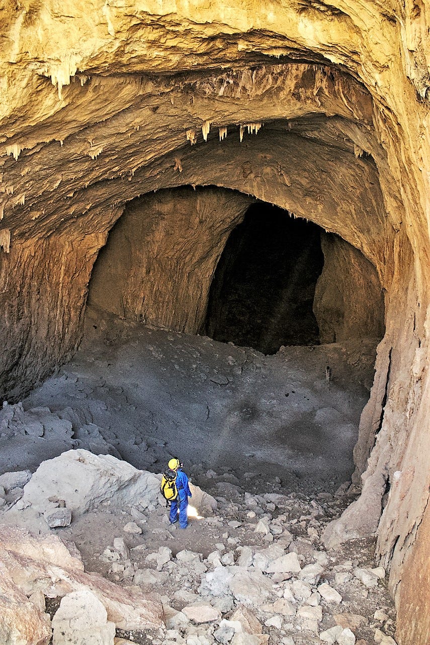Carlsbad Caverns Agencies seek to save bats from white nose syndrome
