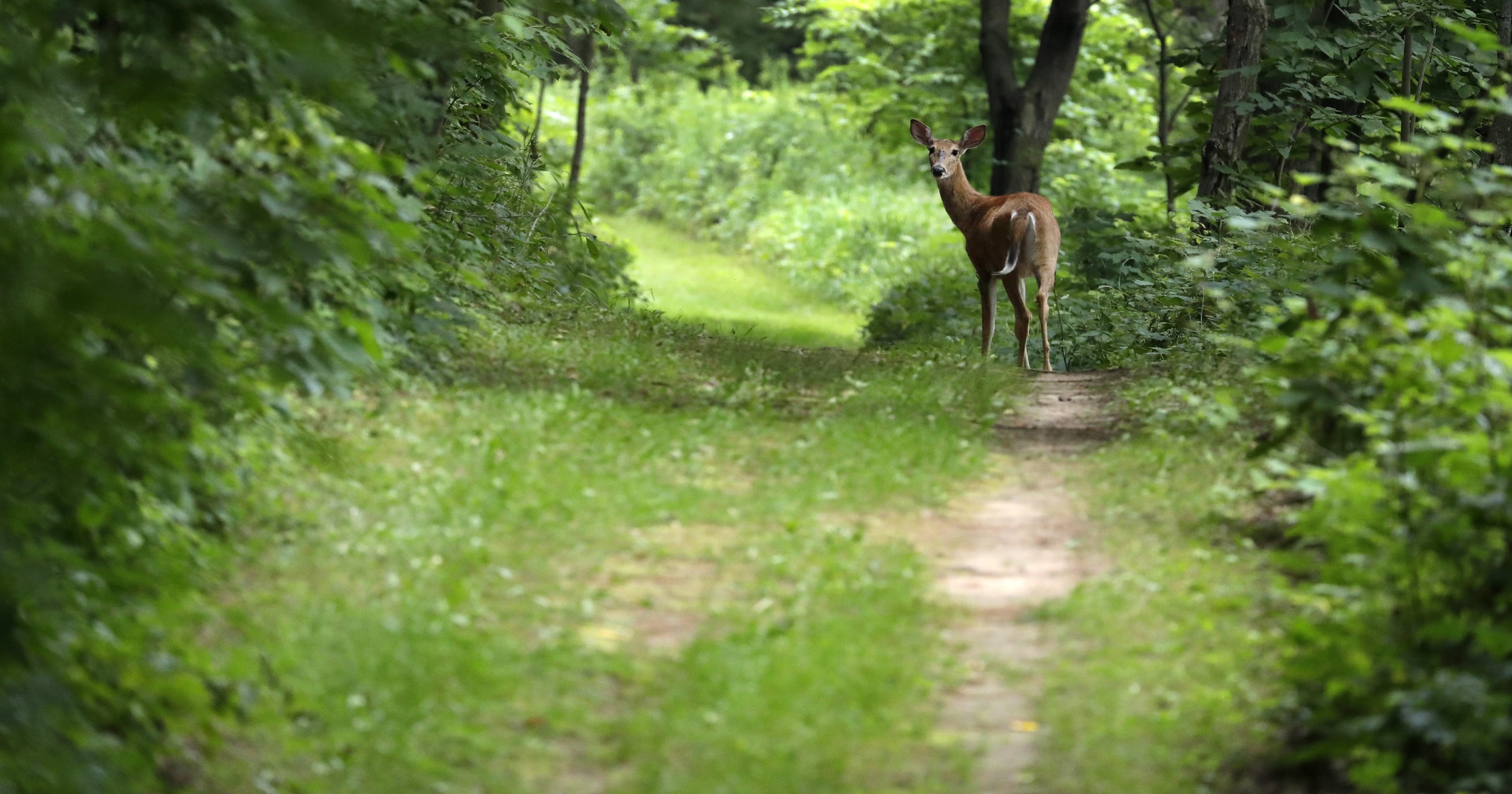 Mosquito Hill Nature Center Planned Name Change Draws Angry
