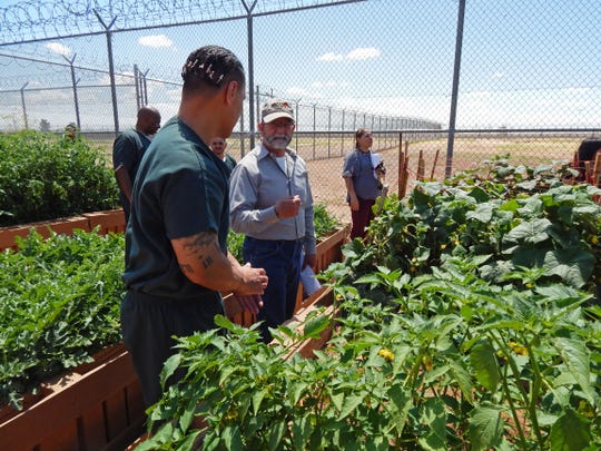 Nmsu Helps Southern New Mexico Correctional Facility Inmates Grow