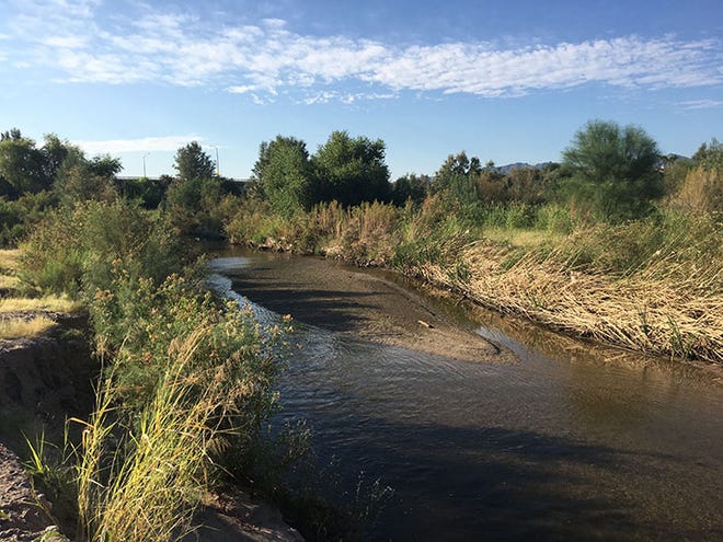 A stretch of the Santa Cruz River in Tucson.