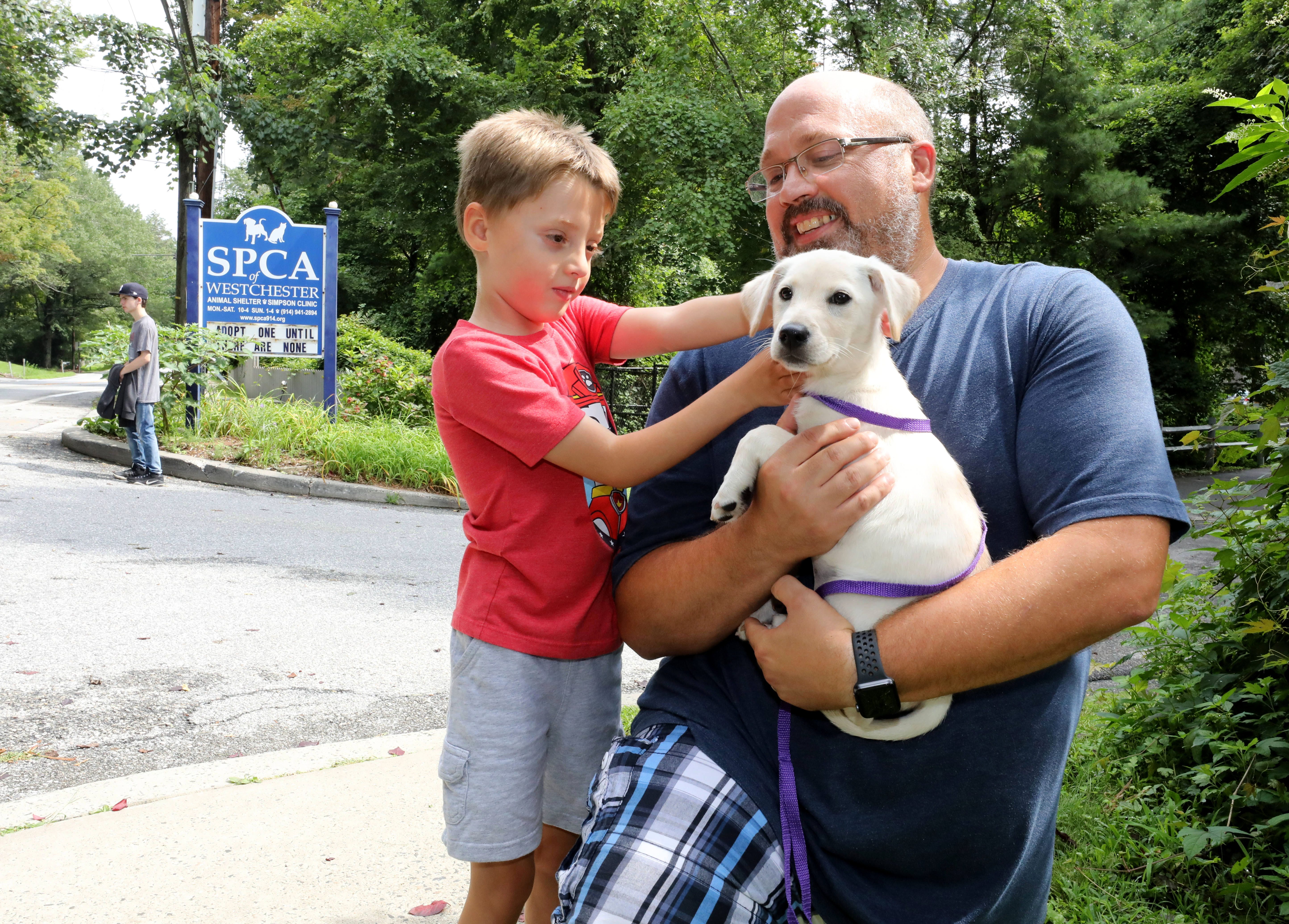spca clear the shelters