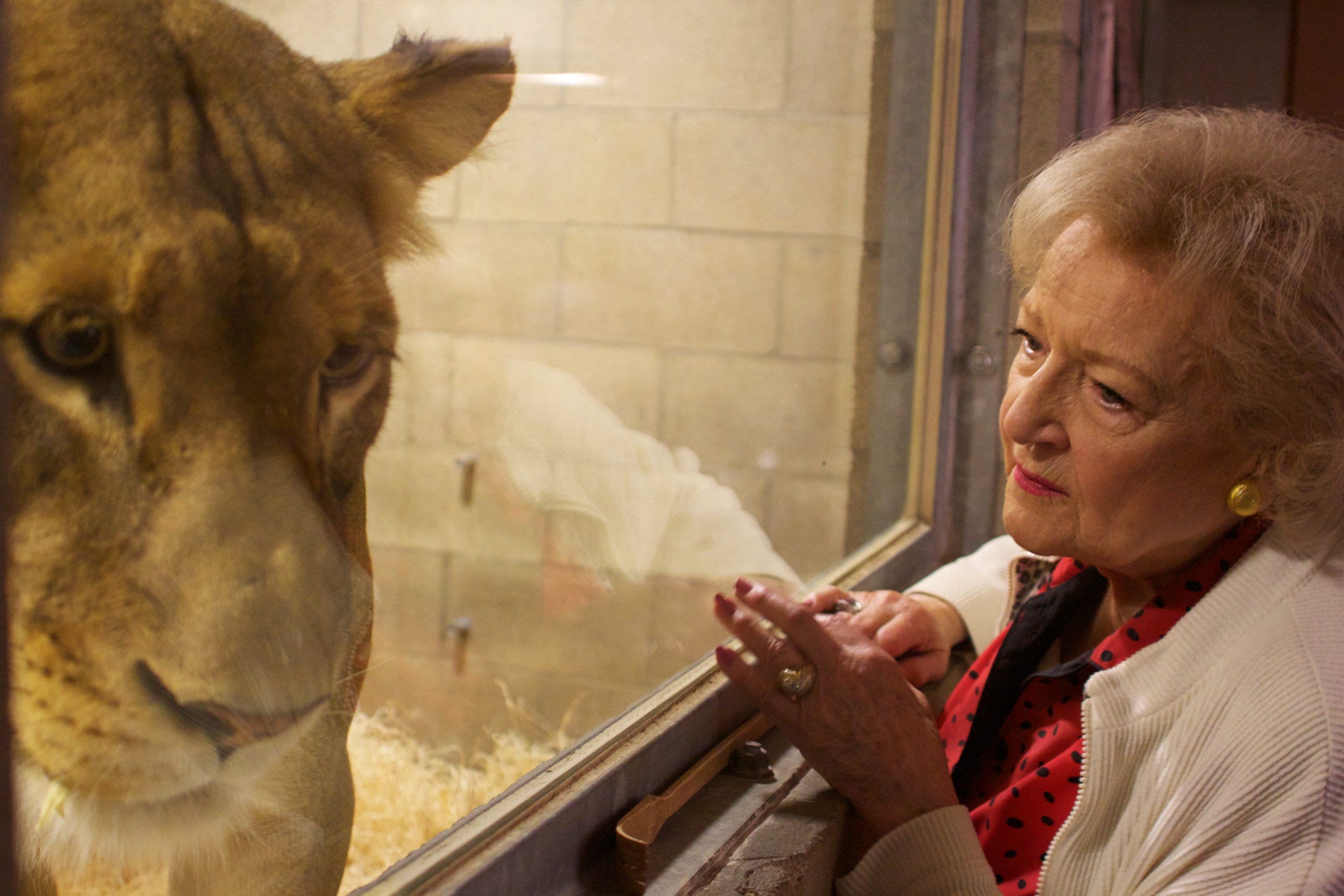 Betty White, seen here with Oshana the lioness, has long been a passionate advocate for animals.