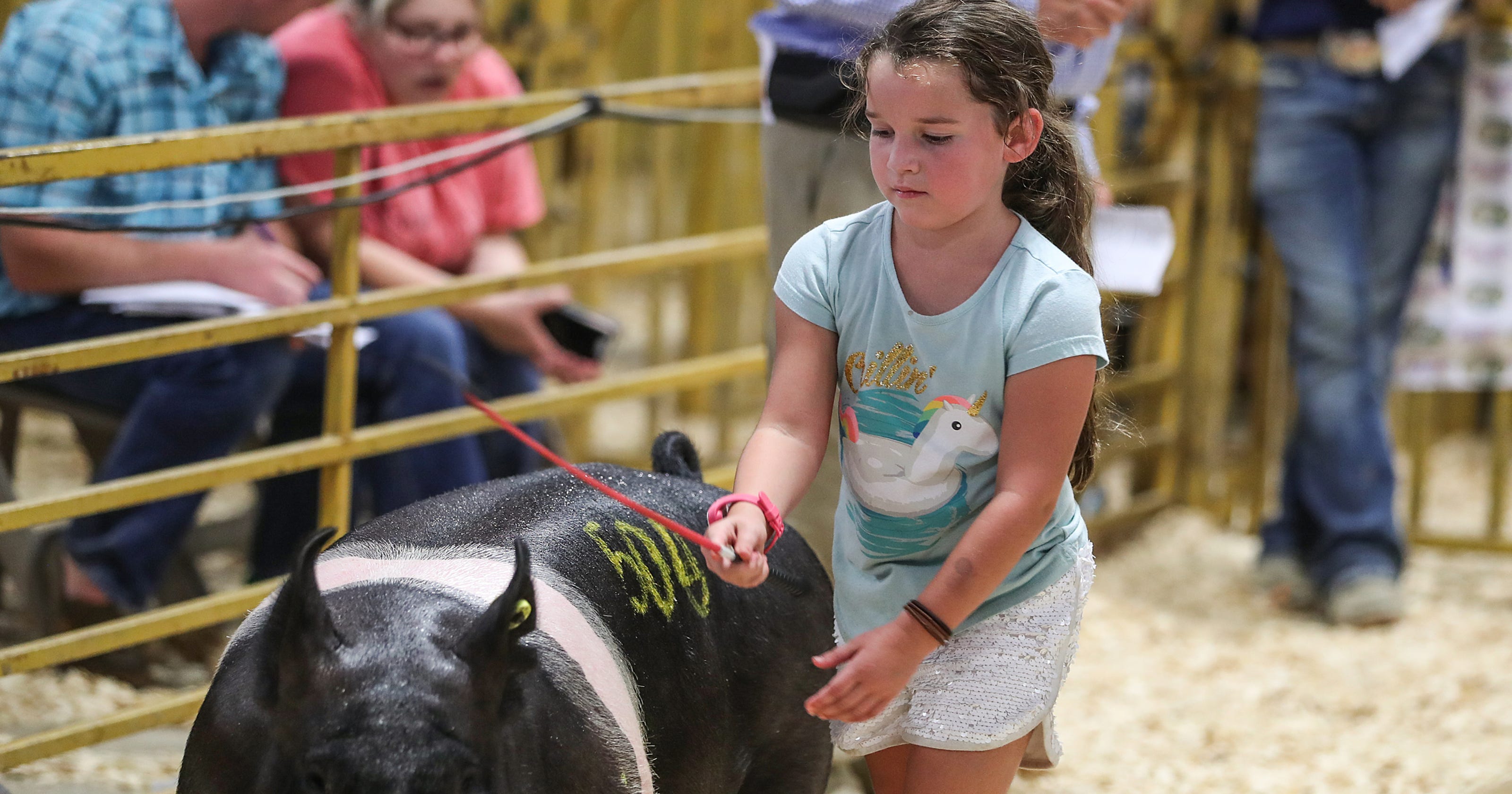 Indiana State Fair 2019: Dates, ticket prices, concerts and more