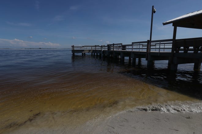 Hurricane Michael's winds and rain may bring a mixed bag of benefits and trouble concerning red tide and toxic blue-green algae blooms along Florida's coast. Here, Lighthouse Point on Sanibel Island on Aug. 22, 2018.
