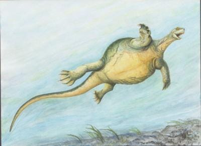 An illustration showing what the ancient turtle species Eorhynchochelys would have looked like in life.