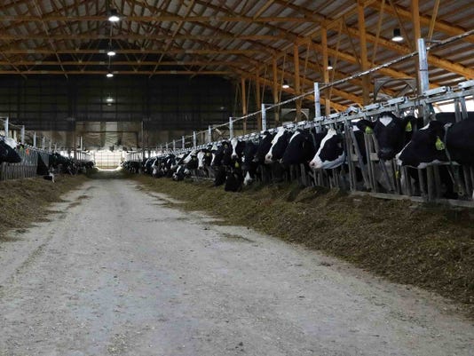 Voices Mississippiriver Agriculture Workforce Migrants Dairy Buffalocounty Wcij