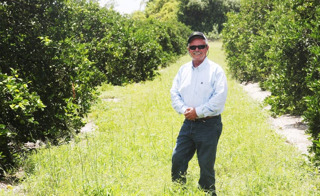 Wayne Simmons grows citrus off the Caloosahatchee River west of LaBelle. He is a sixth generation farmer and says we are all to blame for the water woes Southwest Florida is experiencing. He says he would be put out of business without the use of fertilizers.