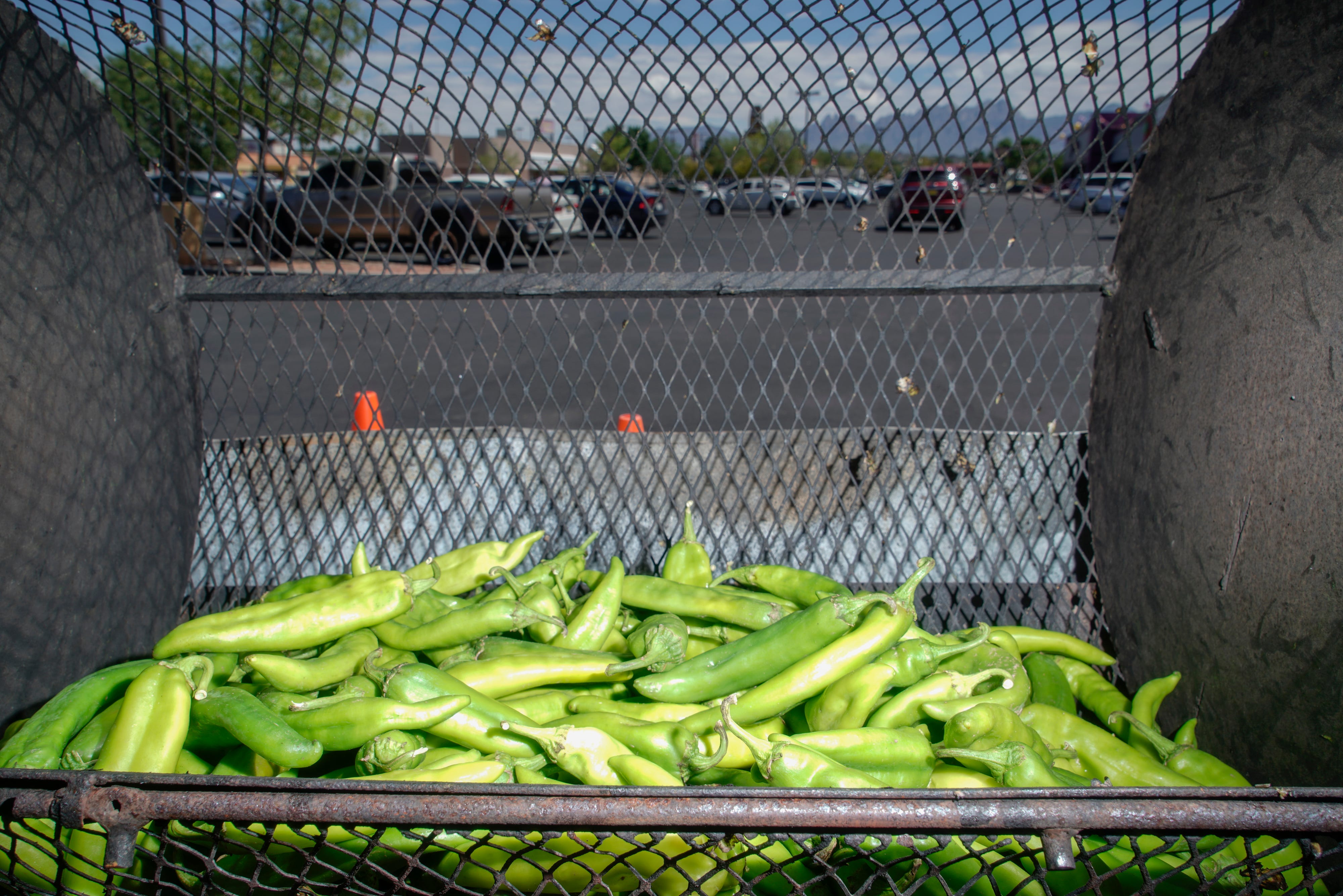 Green chile harvest fires up in Doña Ana County