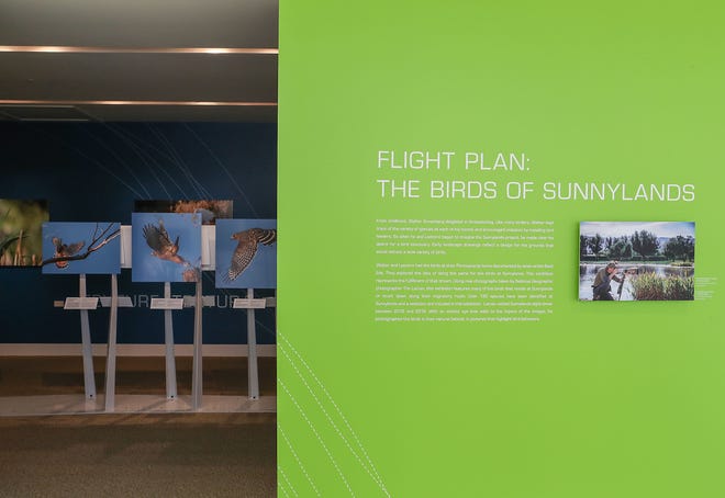 "Flight Plan:  The Bird of Sunnylands" photography exhibit features the work of National Geographic photographer Tim Laman.  The photos are of birds that reside at Sunnylands or that touch down along their migratory route.