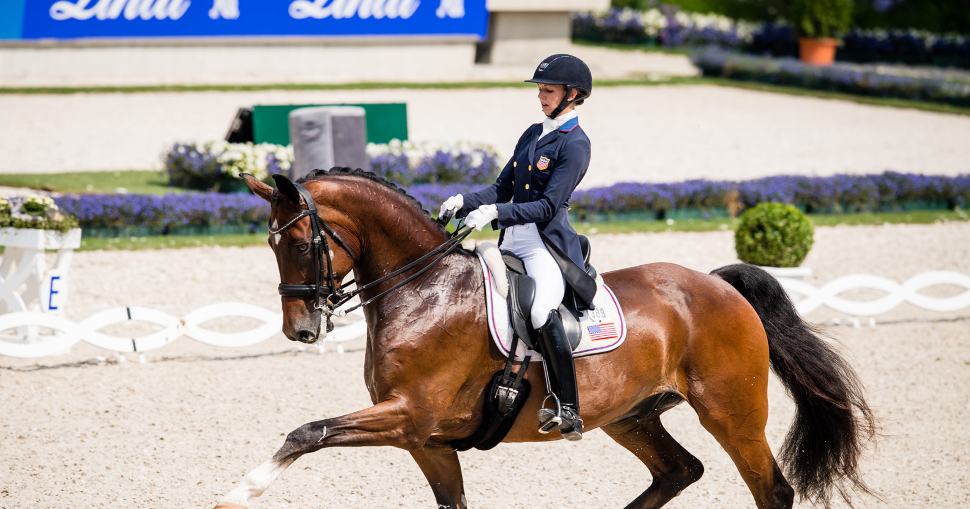 World Equestrian Games 2018 How to watch on TV, stream online