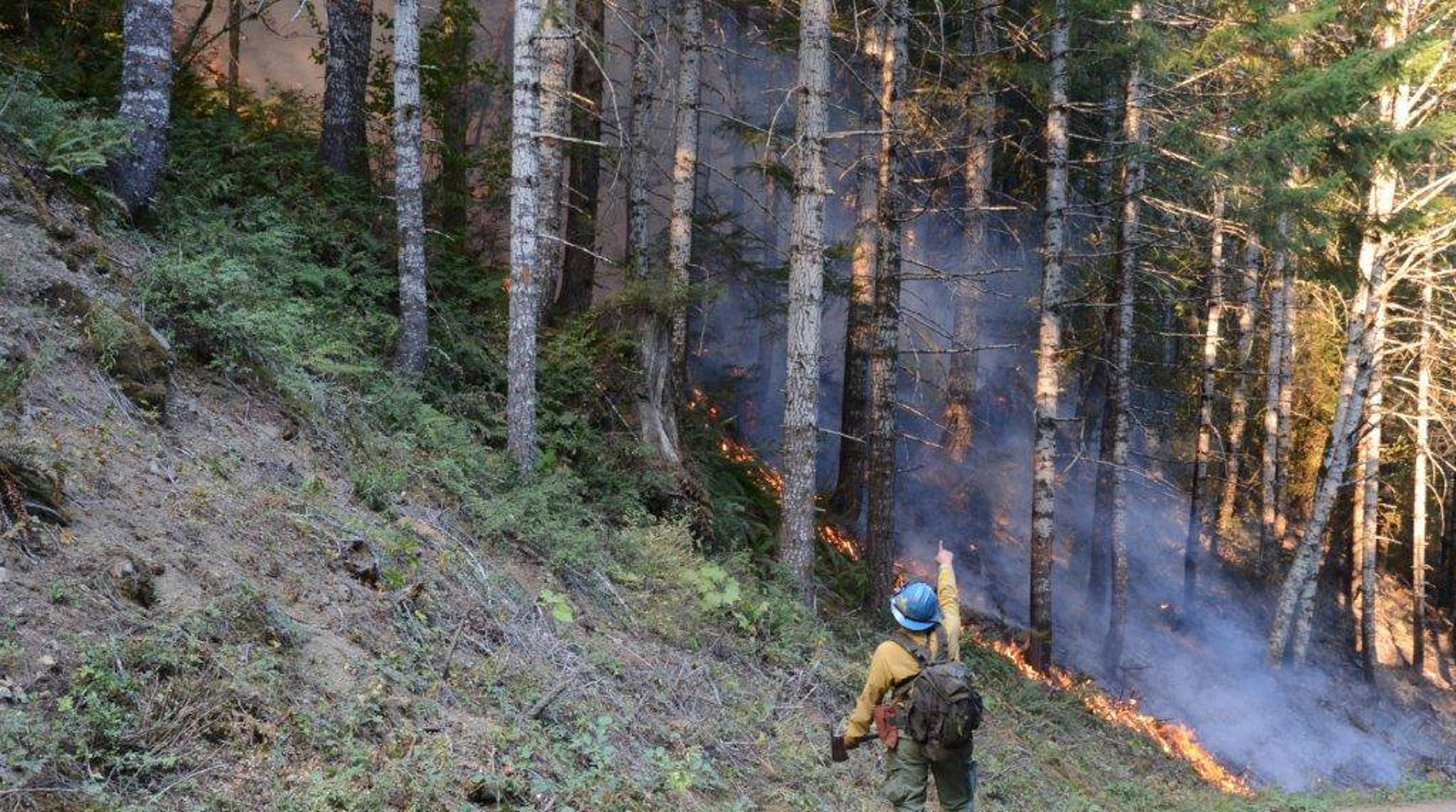 Olympic Peninsula fire spreads to 3,000 acres