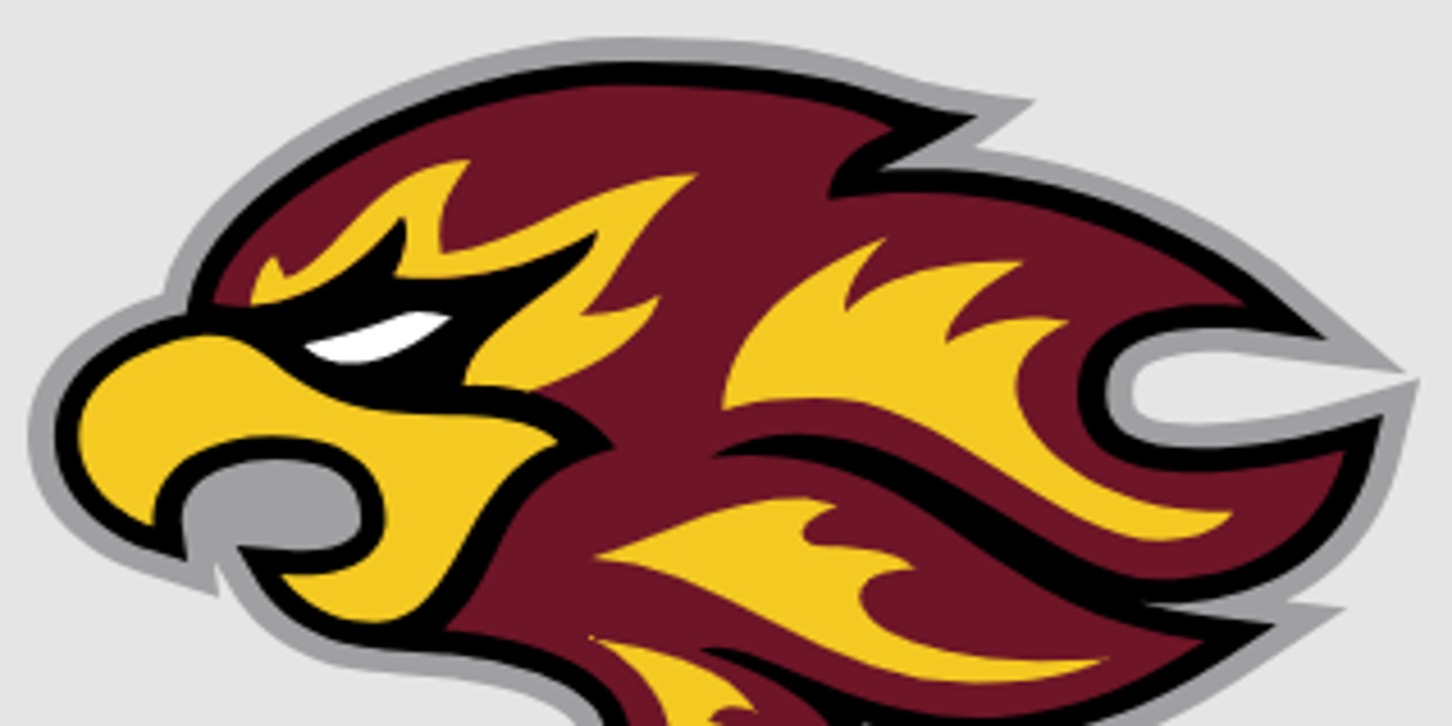 Indiana Firebirds Won T Be Evansville S New Pro Sports Team After All
