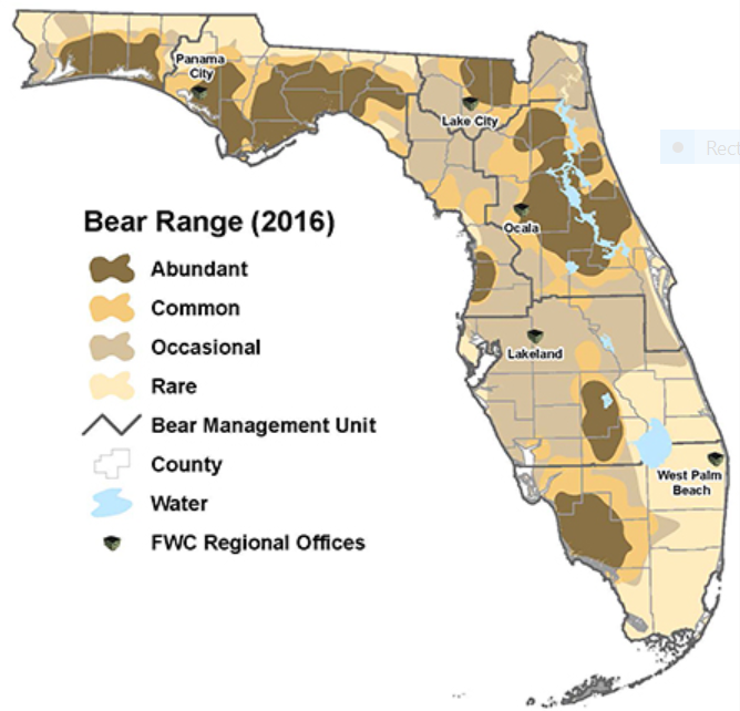 More bears seen in North Naples - 54a26189 2937 4585 Af36 F917e5f5dc31 Capture.PNG