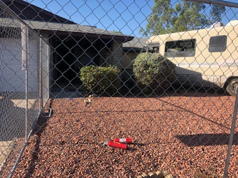 Two fire extinguishers lay in the front yard outside an RV that caught fire, killing a woman and four dogs in Glendale on September 3, 2018.