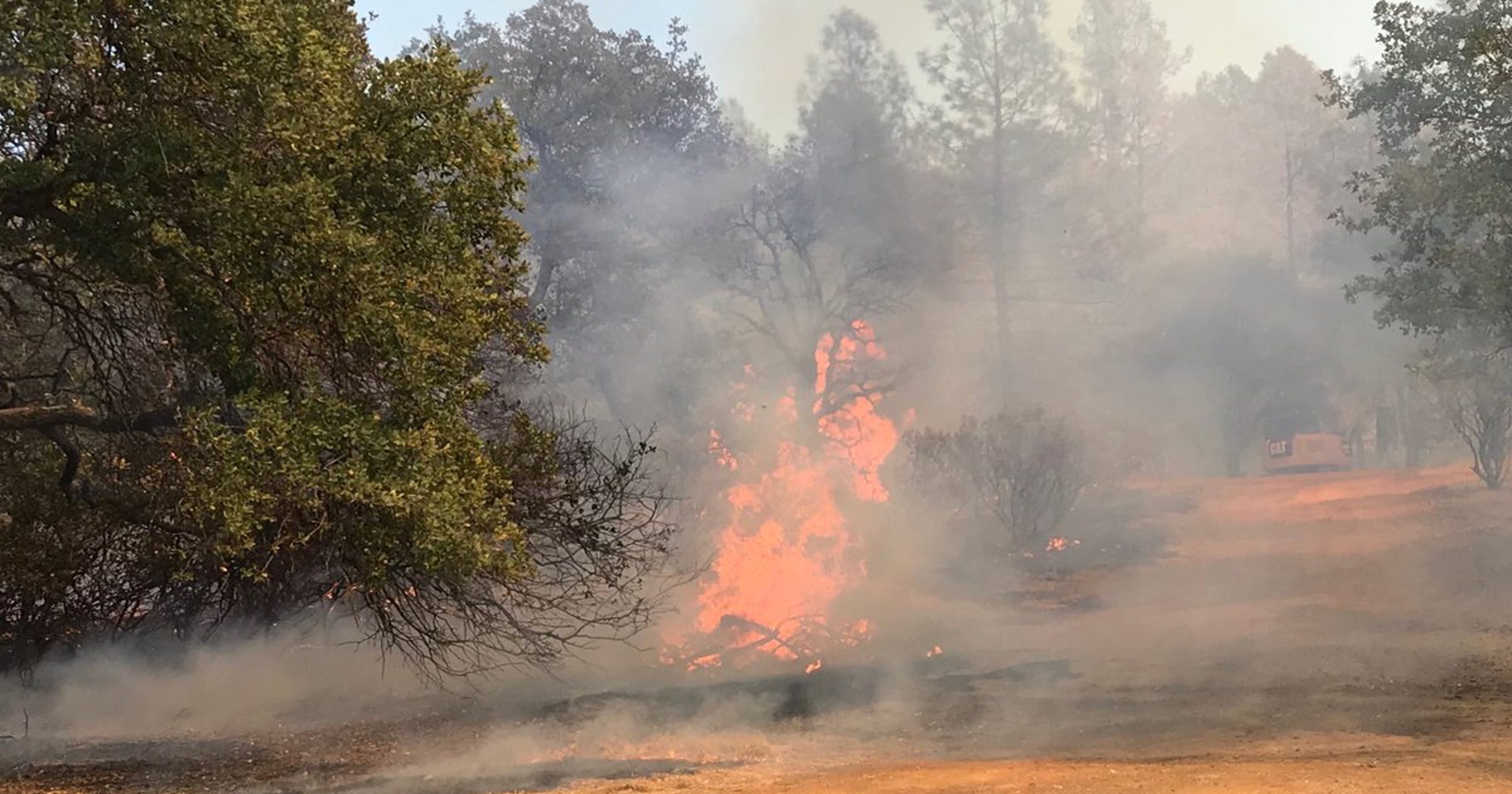 Fire Shasta Lake 2025